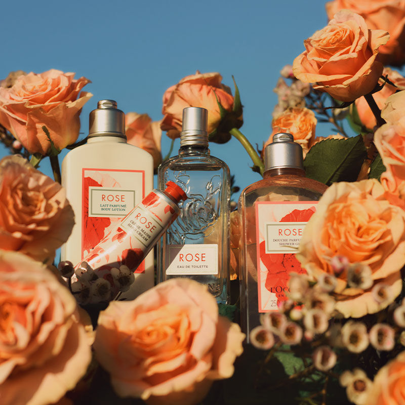 L'Occitane UAE I Natural Beauty and Skincare Products